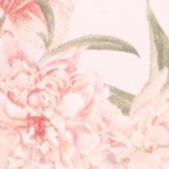 Flora by Flora Nikrooz Printed Pajama Shorts Set - Picture 3 of 3